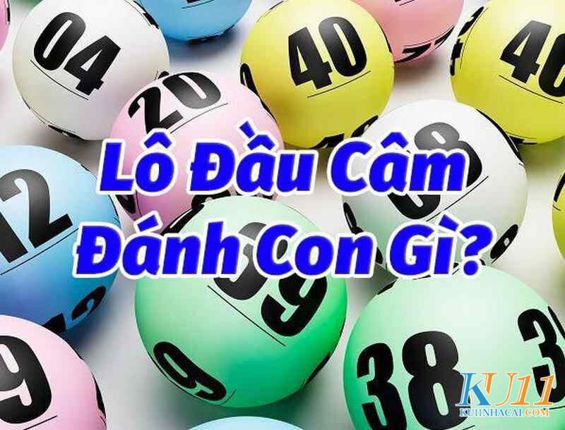 Tìm hiểu đít 8 câm là gì?