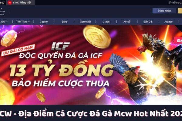 MCW – Địa Điểm Cá Cược Đá Gà Mcw Hot Nhất 2024